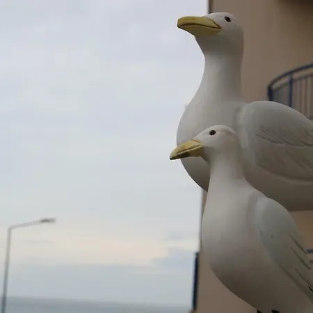 Casa Dos Pexins Appartement Nazaré